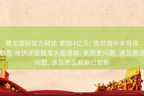 尊龙国际官方网站 索赔4亿元! 告状海外半导体巨头安森好意思 光伏逆变器龙头固德威: 系历史问题， 波及居品颠倒已管制