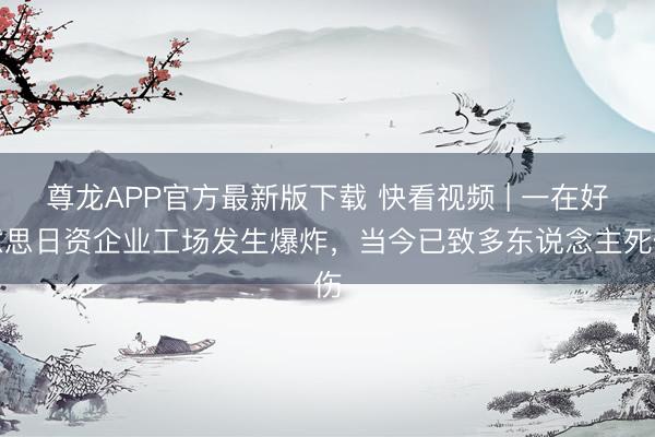 尊龙APP官方最新版下载 快看视频 | 一在好意思日资企业工场发生爆炸，<a href=