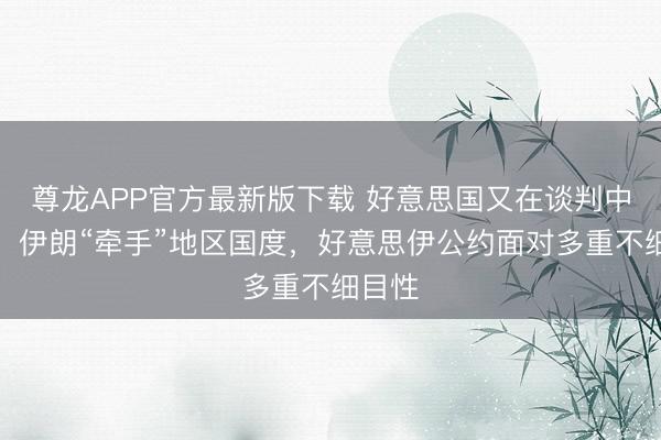尊龙APP官方最新版下载 好意思国又在谈判中动武，伊朗“牵手”地区国度，好意思伊公约面对多重不细目性