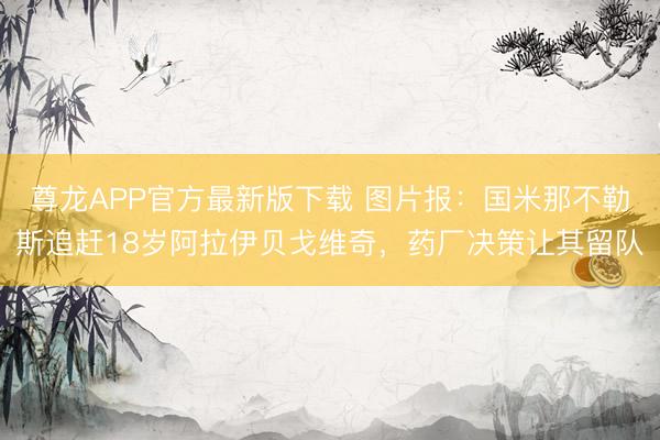 尊龙APP官方最新版下载 图片报：国米那不勒斯追赶18岁阿拉伊贝戈维奇，药厂决策让其留队