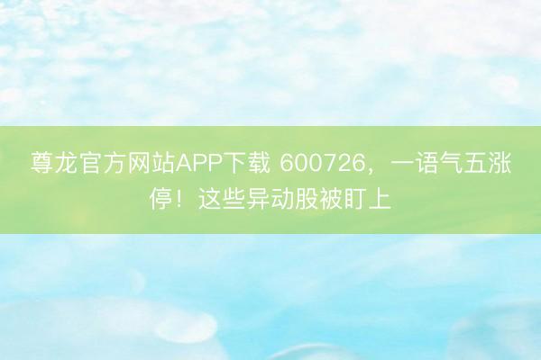 尊龙官方网站APP下载 600726，一语气五涨停！这些异动股被盯上