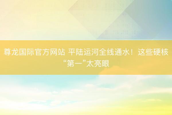 尊龙国际官方网站 平陆运河全线通水！这些硬核“第一”太亮眼