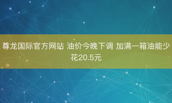 尊龙国际官方网站 油价今晚下调 加满一箱油能少花20.5元