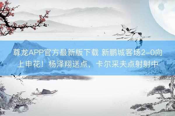 尊龙APP官方最新版下载 新鹏城客场2-0向上申花！杨泽翔送点，卡尔采夫点射射中