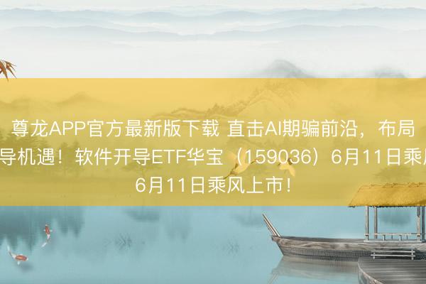尊龙APP官方最新版下载 直击AI期骗前沿，布局估值开导机遇！软件开导ETF华宝（159036）6月11日乘风上市！