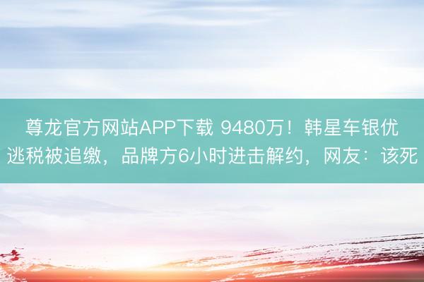 尊龙官方网站APP下载 9480万！韩星车银优逃税被追缴，品牌方6小时进击解约，网友：该死