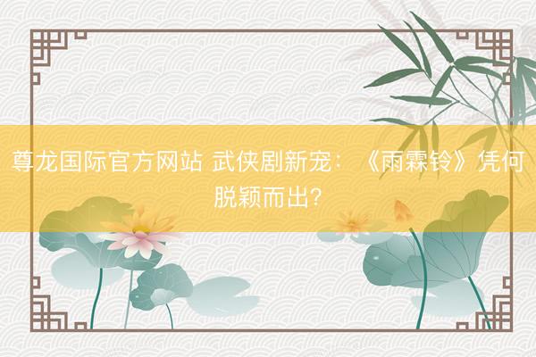 尊龙国际官方网站 武侠剧新宠：《雨霖铃》凭何脱颖而出？