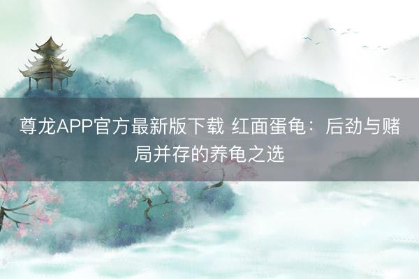 尊龙APP官方最新版下载 红面蛋龟：后劲与赌局并存的养龟之选