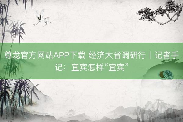 尊龙官方网站APP下载 经济大省调研行｜记者手记：宜宾怎样“宜宾”