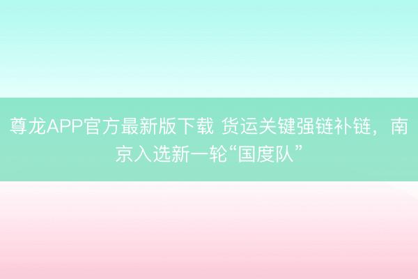 尊龙APP官方最新版下载 货运关键强链补链，南京入选新一轮“国度队”