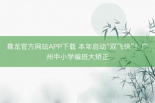 尊龙官方网站APP下载 本年启动“双飞快”！广州中小学编班大矫正