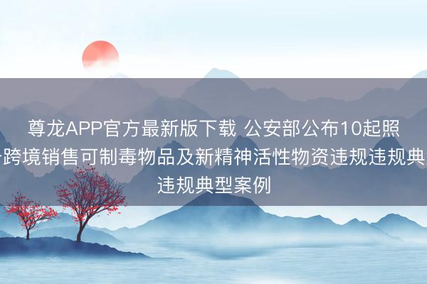 尊龙APP官方最新版下载 公安部公布10起照章打击跨境销售可制毒物品及新精神活性物资违规违规典型案例
