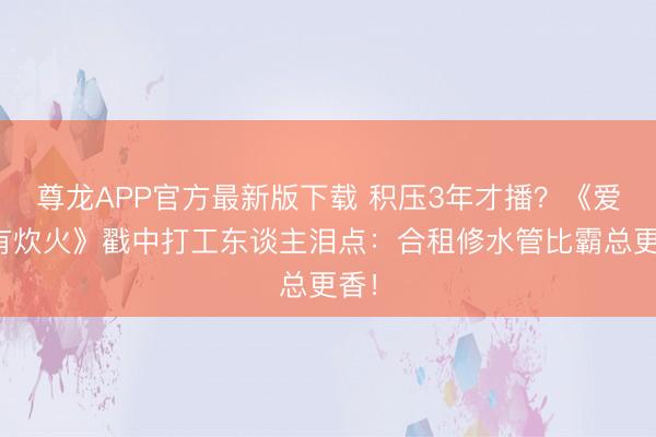 尊龙APP官方最新版下载 积压3年才播？《爱情有炊火》戳中打工东谈主泪点：合租修水管比霸总更香！