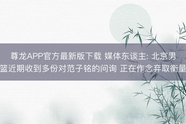 尊龙APP官方最新版下载 媒体东谈主: 北京男篮近期收到多份对范子铭的问询 正在作念弃取衡量