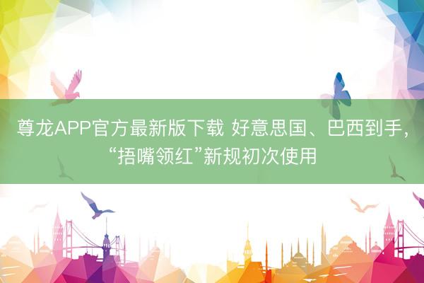 尊龙APP官方最新版下载 好意思国、巴西到手，“捂嘴领红”新规初次使用