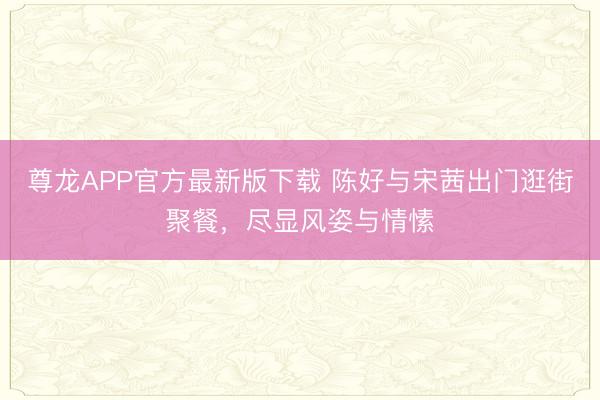 尊龙APP官方最新版下载 陈好与宋茜出门逛街聚餐，尽显风姿与情愫